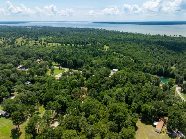 a view of a city with lush green forest