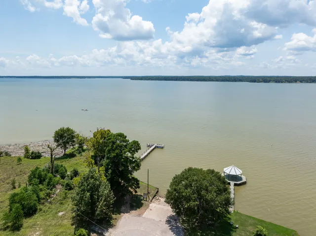 a close up of a plant in a pot