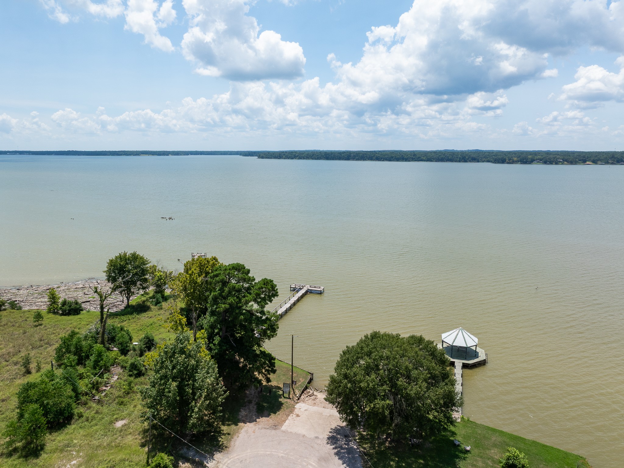 Tba Buzzard Roost Trail Trinity, TX 75862 - Photo 5 of 21 a close up of a plant in a pot