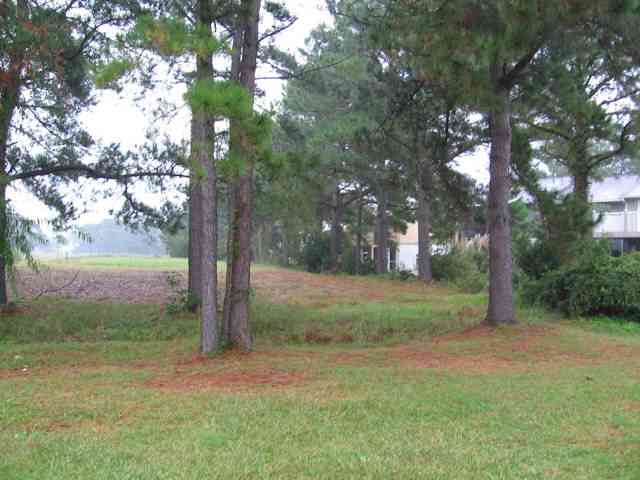 1420 Turkey Ridge Road, Unit A Surfside Beach, SC 29575 - Photo 12 of 14