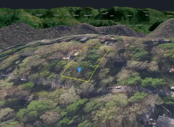 a view of a dry yard with green space