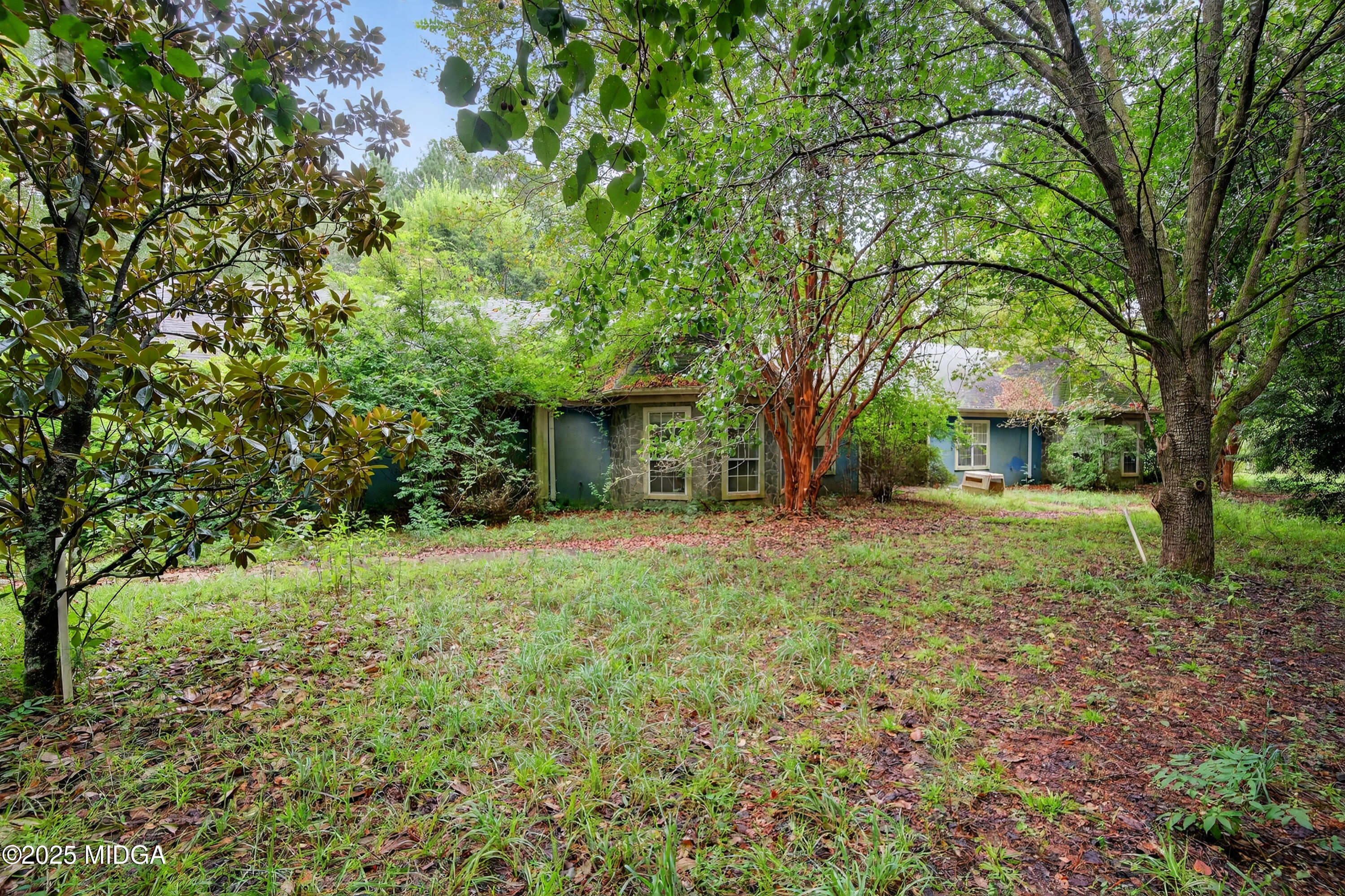 615 Lite-N-Tie Road Gray, GA 31032 - Photo 9 of 19 a view of a yard with plants and trees