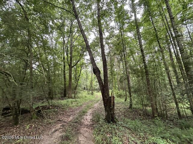 301 Freeman Road Southwest Summit, MS 39666 - Photo 18 of 43 IMG_4600