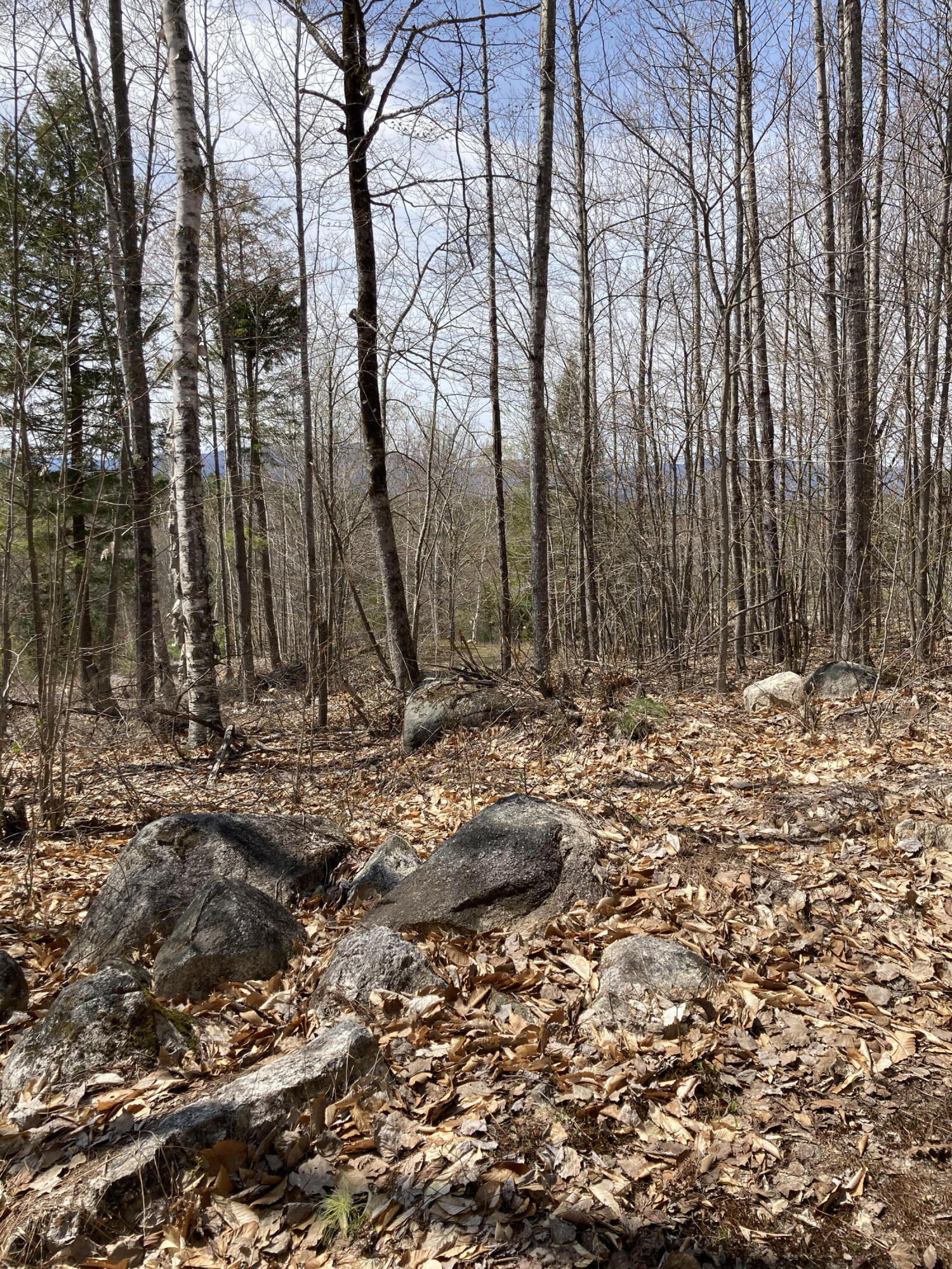 0 Loop Road Fryeburg, ME 04037 - Photo 11 of 16 IMG_4293