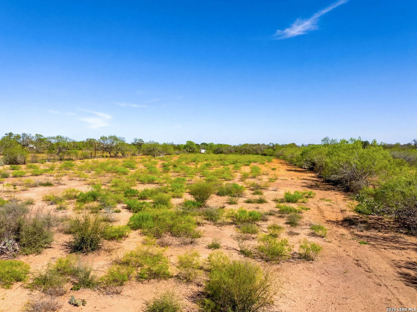 4246 Rakowitz Road Adkins, TX 78101 - Photo 1 of 43