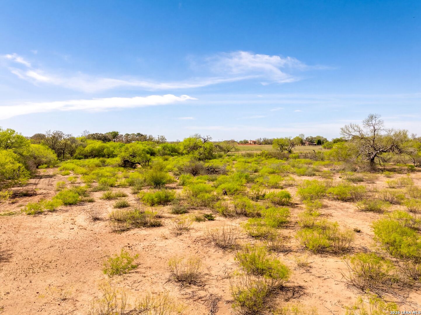 4246 Rakowitz Road Adkins, TX 78101 - Photo 11 of 43