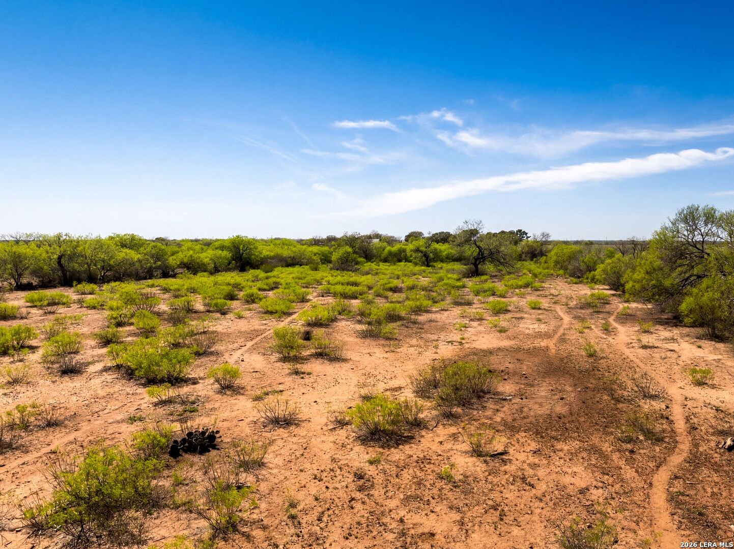4246 Rakowitz Road Adkins, TX 78101 - Photo 13 of 43