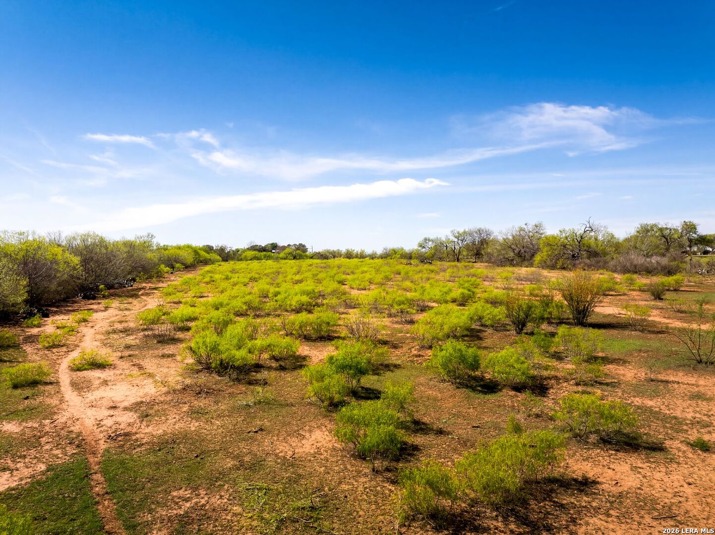 4246 Rakowitz Road Adkins, TX 78101 - Photo 17 of 43