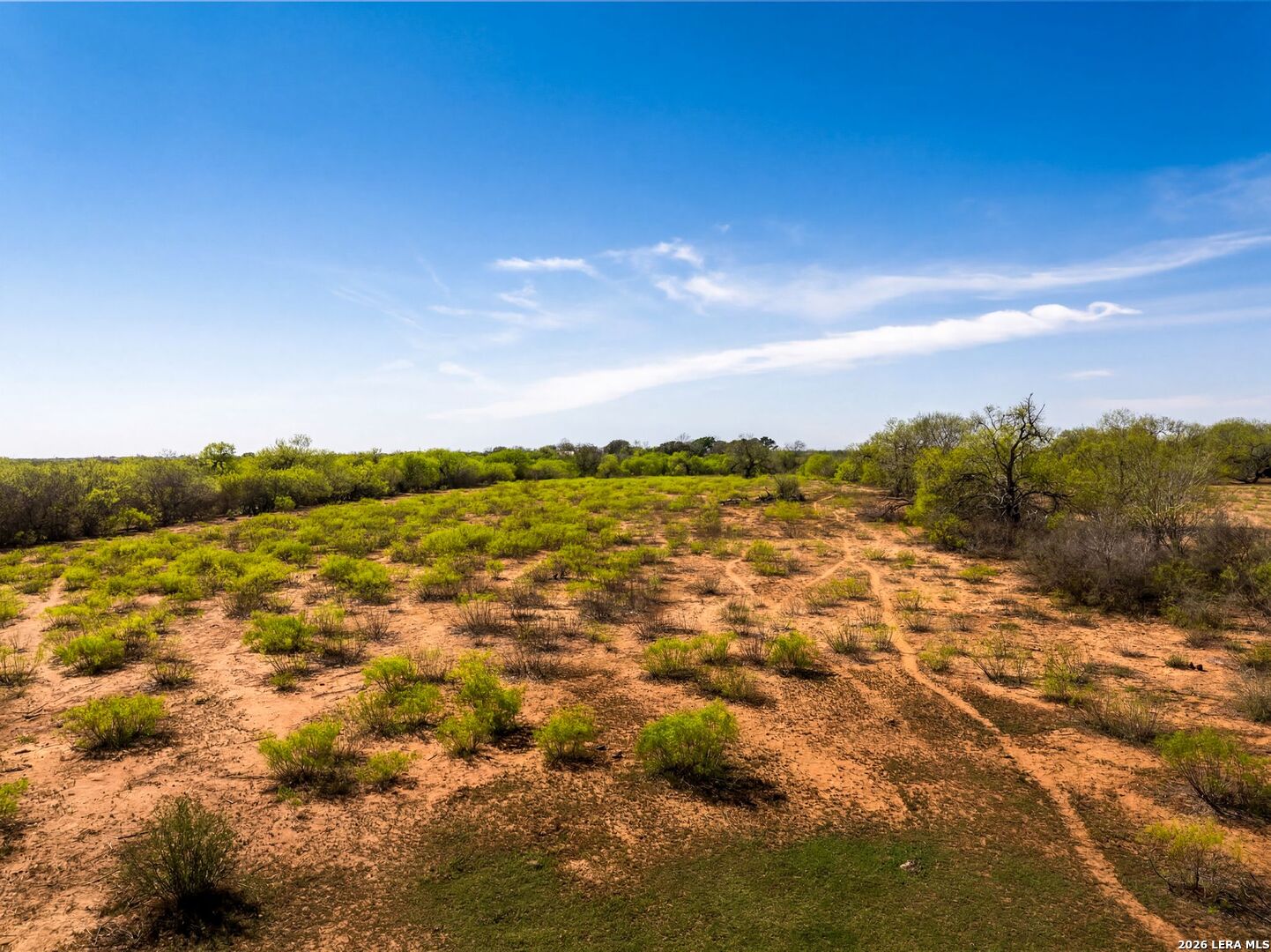 4246 Rakowitz Road Adkins, TX 78101 - Photo 18 of 43