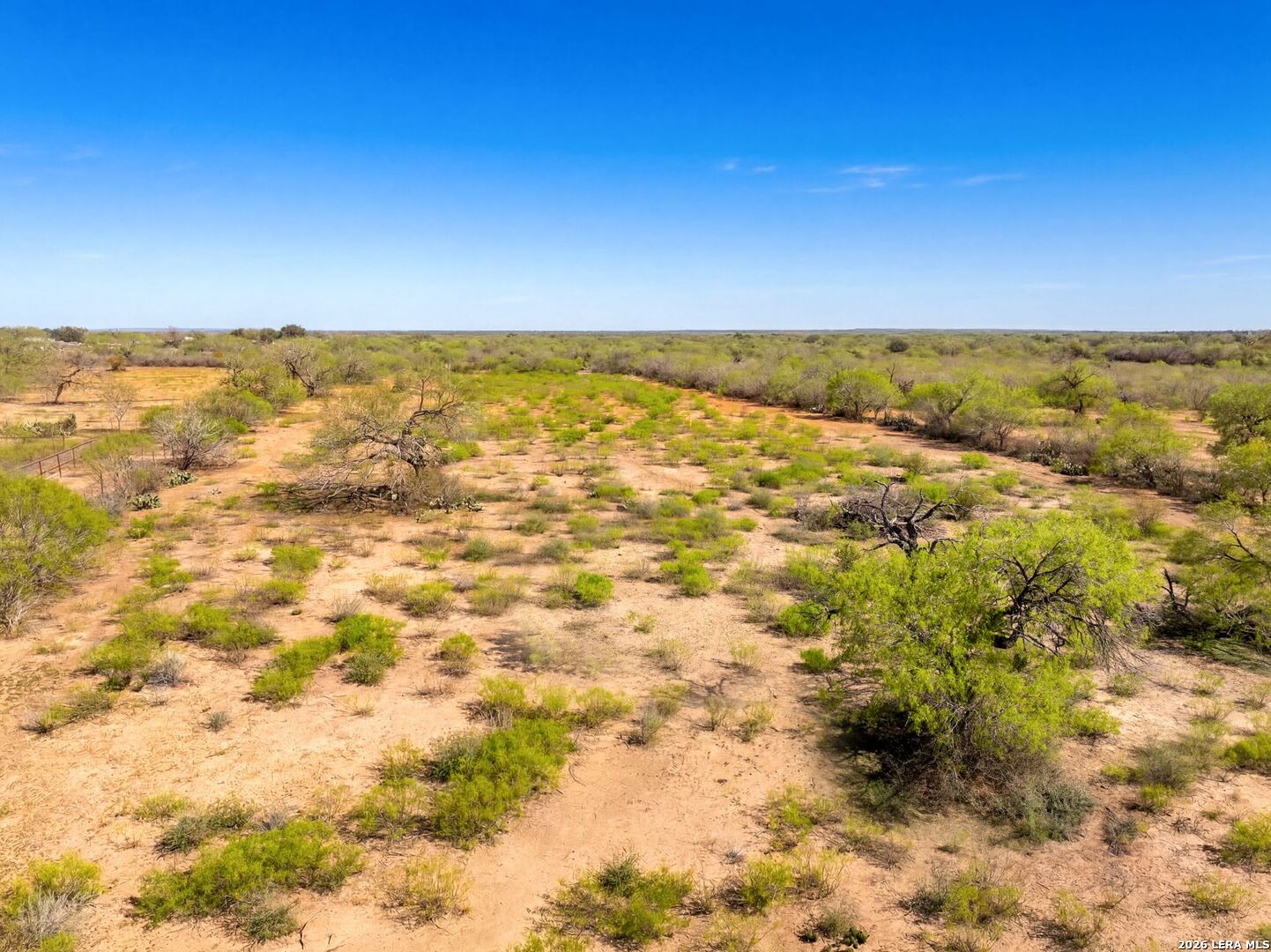 4246 Rakowitz Road Adkins, TX 78101 - Photo 3 of 43