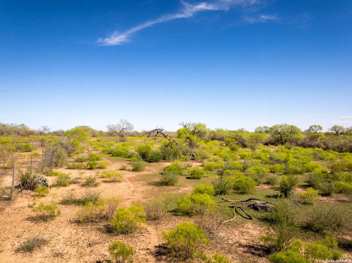 4246 Rakowitz Road Adkins, TX 78101 - Photo 4 of 43