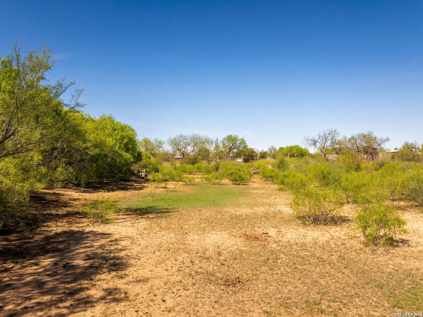4246 Rakowitz Road Adkins, TX 78101 - Photo 5 of 43