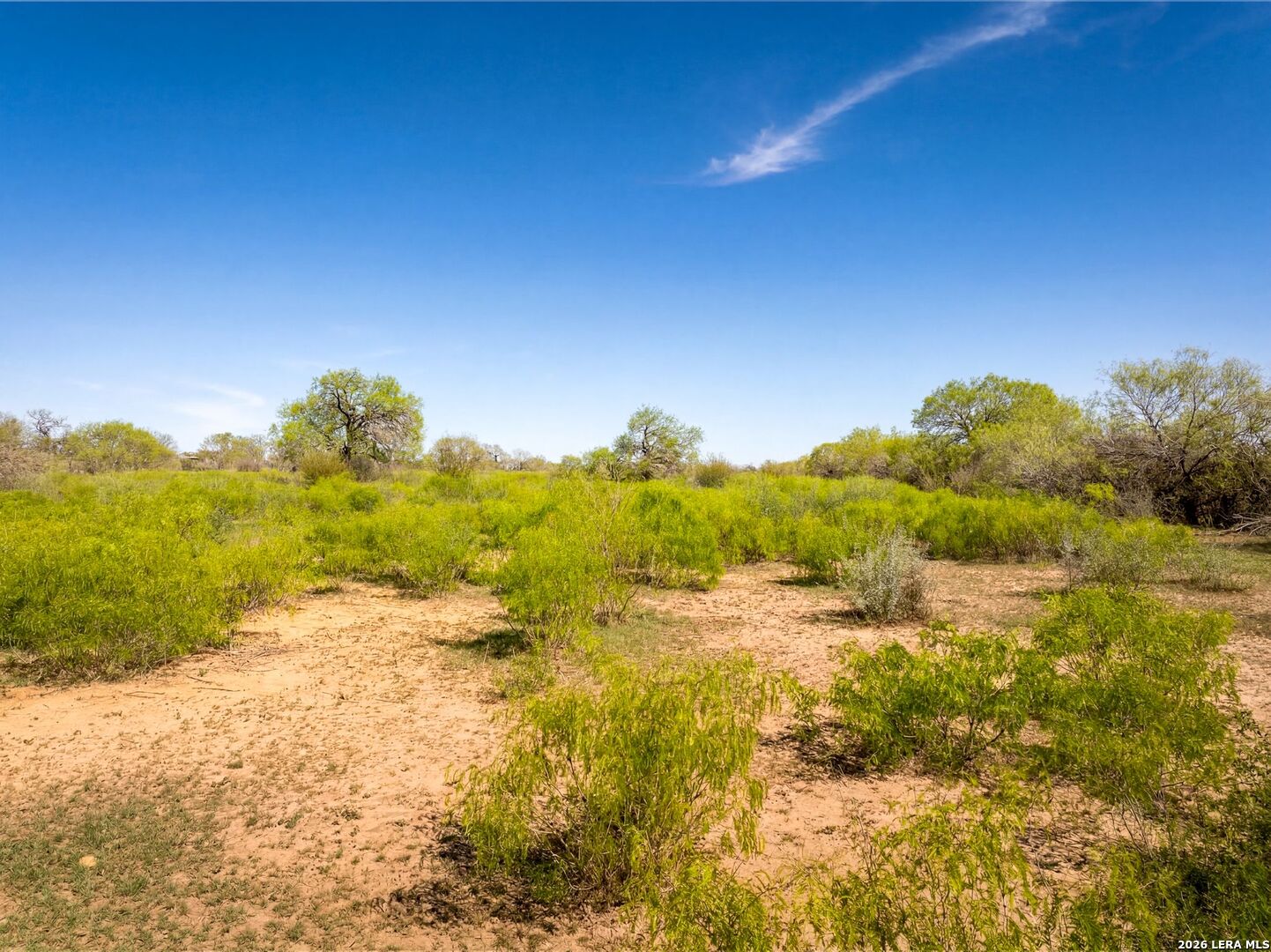 4246 Rakowitz Road Adkins, TX 78101 - Photo 6 of 43