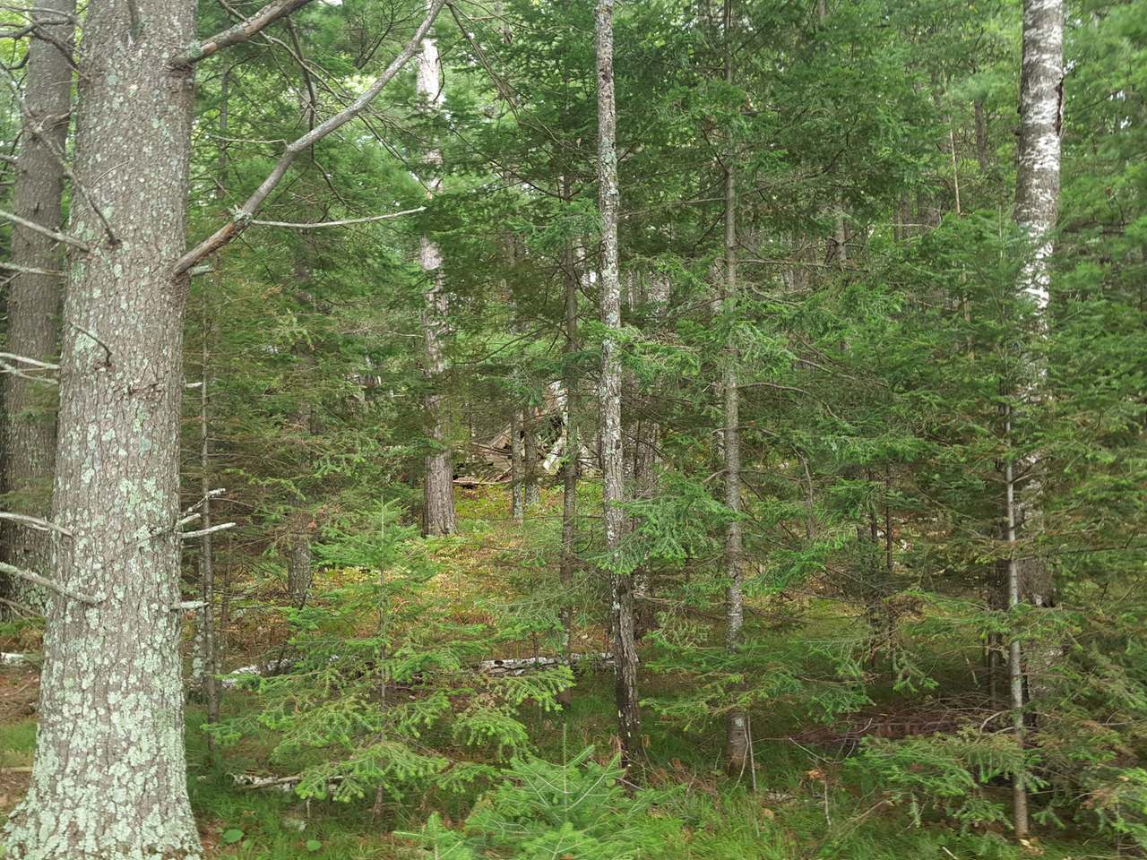 Island McPeak Road Conover, WI 54519 - Photo 33 of 55 Gallery Image 33