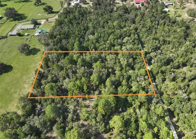 view of a green field