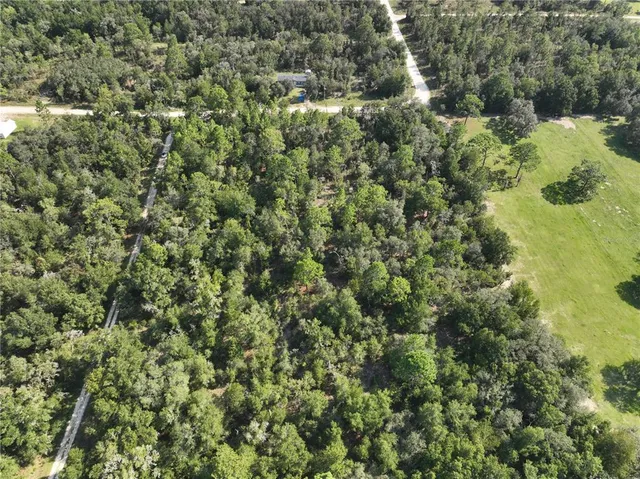view of a forest with a houses