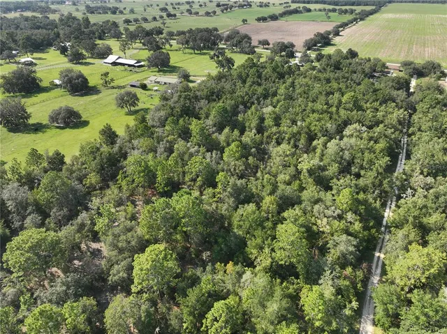 an aerial view of residential houses with outdoor space and trees