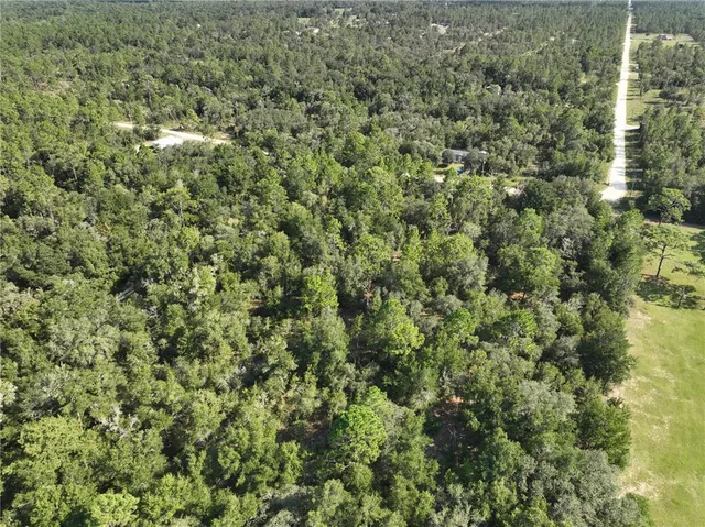 a view of a large yard with lots of green space