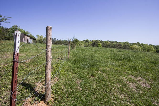 4095 Caldwell Road Loudon, TN 37774 - Photo 1 of 2 a view of a green field with a tree in the background