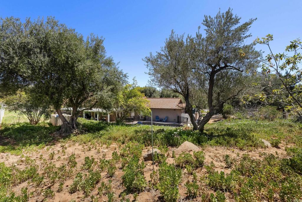 2365 Shaylene Way Alpine, CA 91901 - Photo 42 of 57
