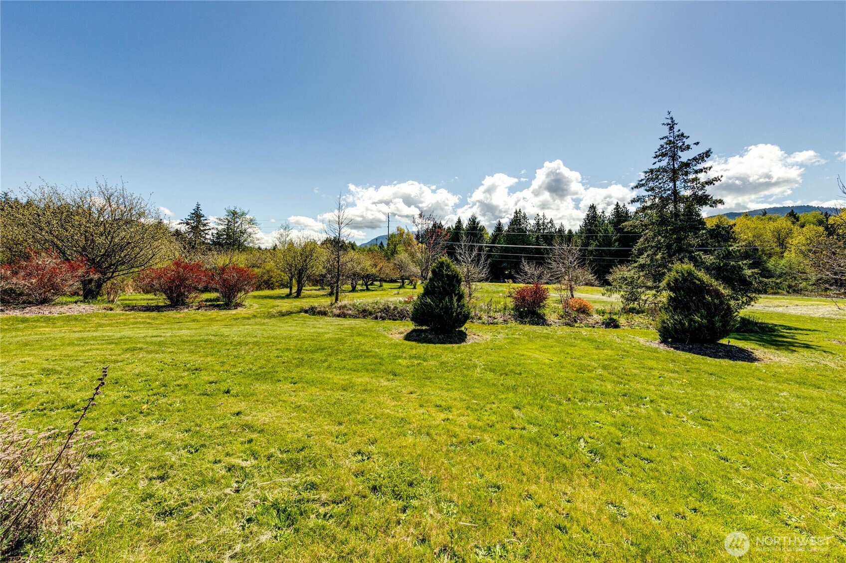 64 Johnson Road Port Angeles, WA 98363 - Photo 27 of 31 Gallery Image 27