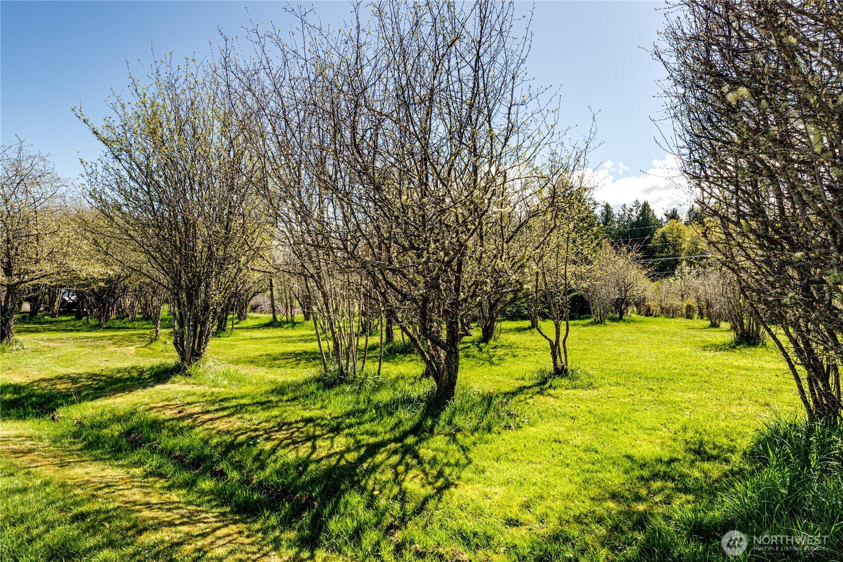 64 Johnson Road Port Angeles, WA 98363 - Photo 28 of 31 Gallery Image 28