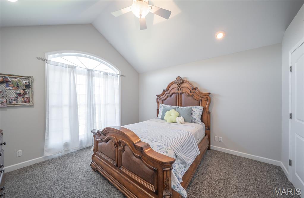 1021 Madison 523 Fredericktown, MO 63645 - Photo 19 of 55