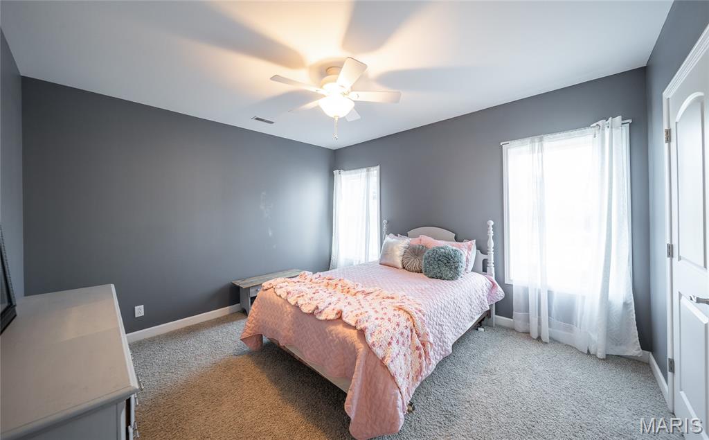 1021 Madison 523 Fredericktown, MO 63645 - Photo 38 of 55