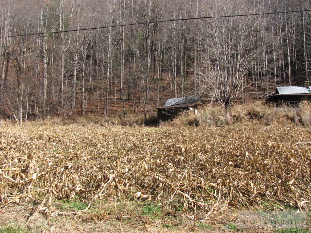 626 Simmons Road Deep Gap, NC 28618 - Photo 8 of 15 Gallery Image 8