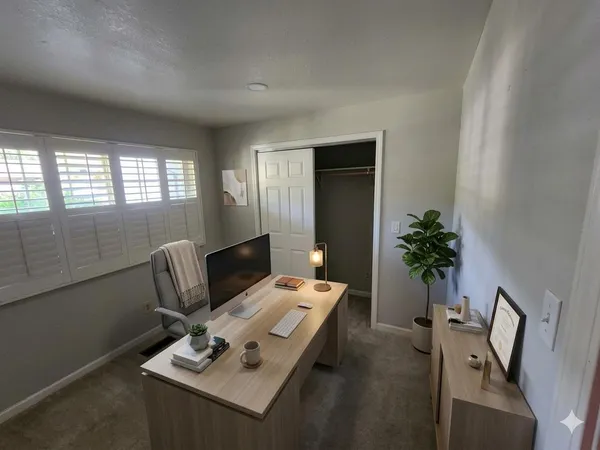 a living room with furniture and a potted plant