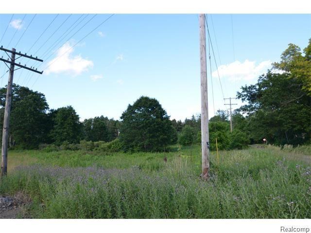 Vacant Rattalee Lake Road Fenton, MI 48430 - Photo 4 of 7