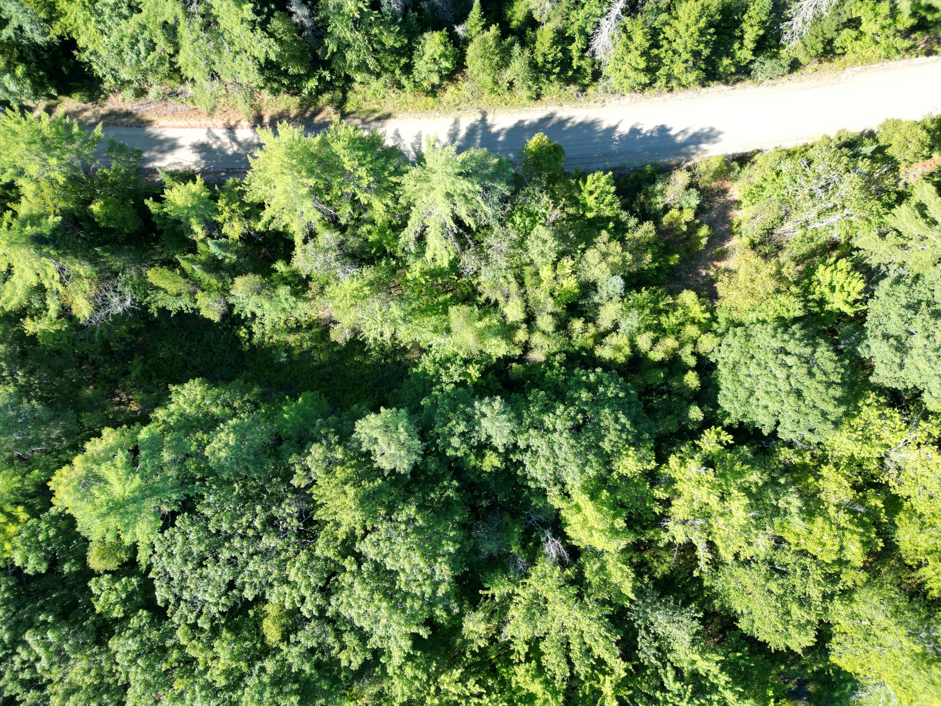 Lot 38.2 Lord Brook Road Burlington, ME 04417 - Photo 10 of 24 DJI_0363