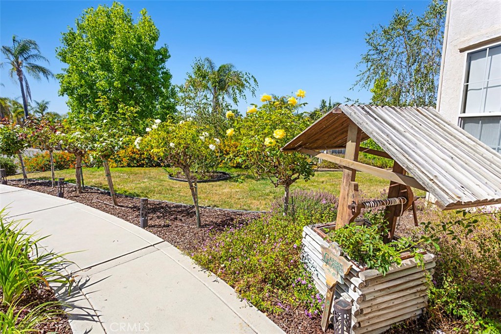1957 Cresthaven Drive Vista, CA 92084 - Photo 34 of 47 a view of a yard in front of a house