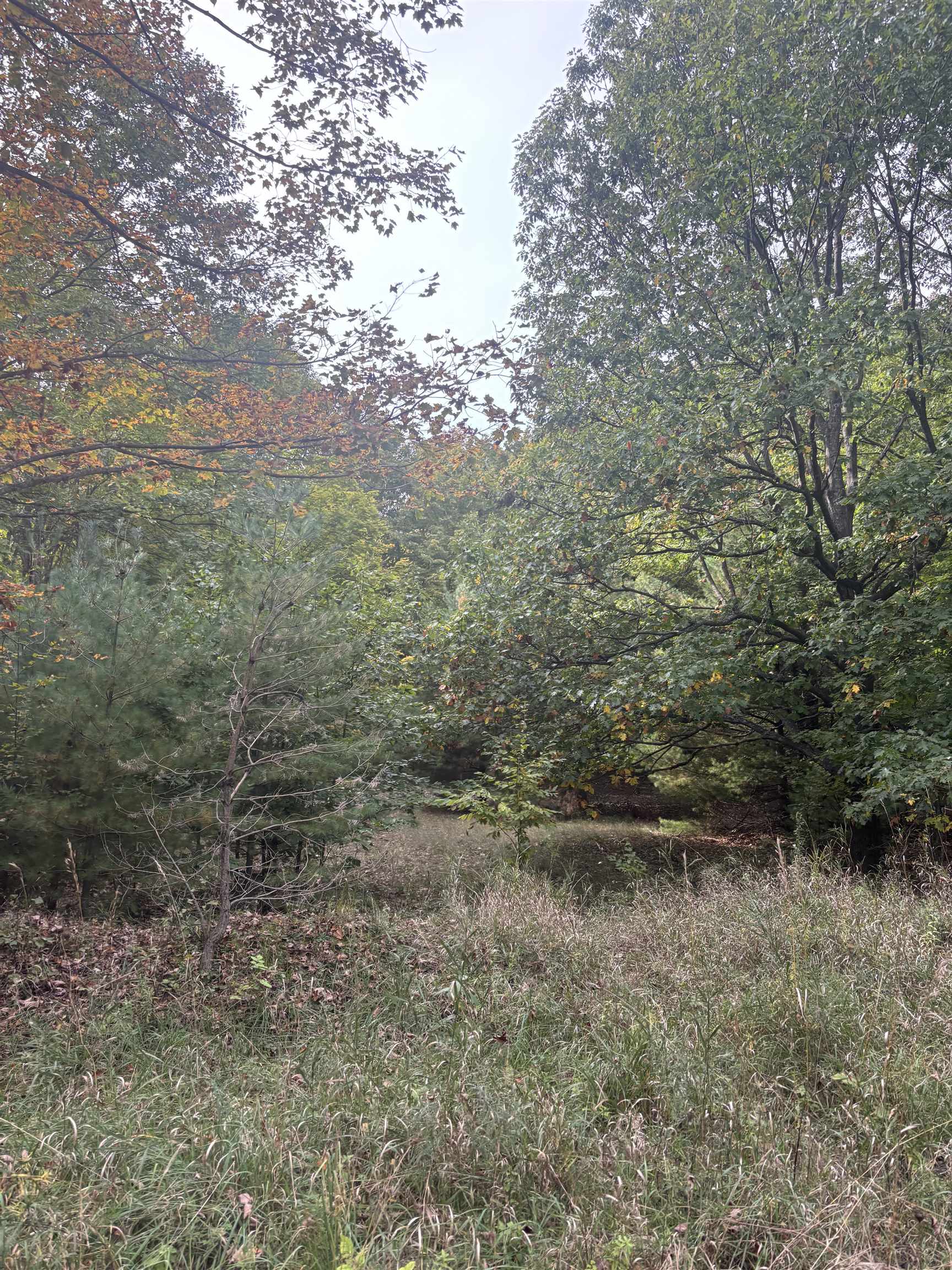 0 South Fritz Road Empire, MI 49630 - Photo 25 of 28