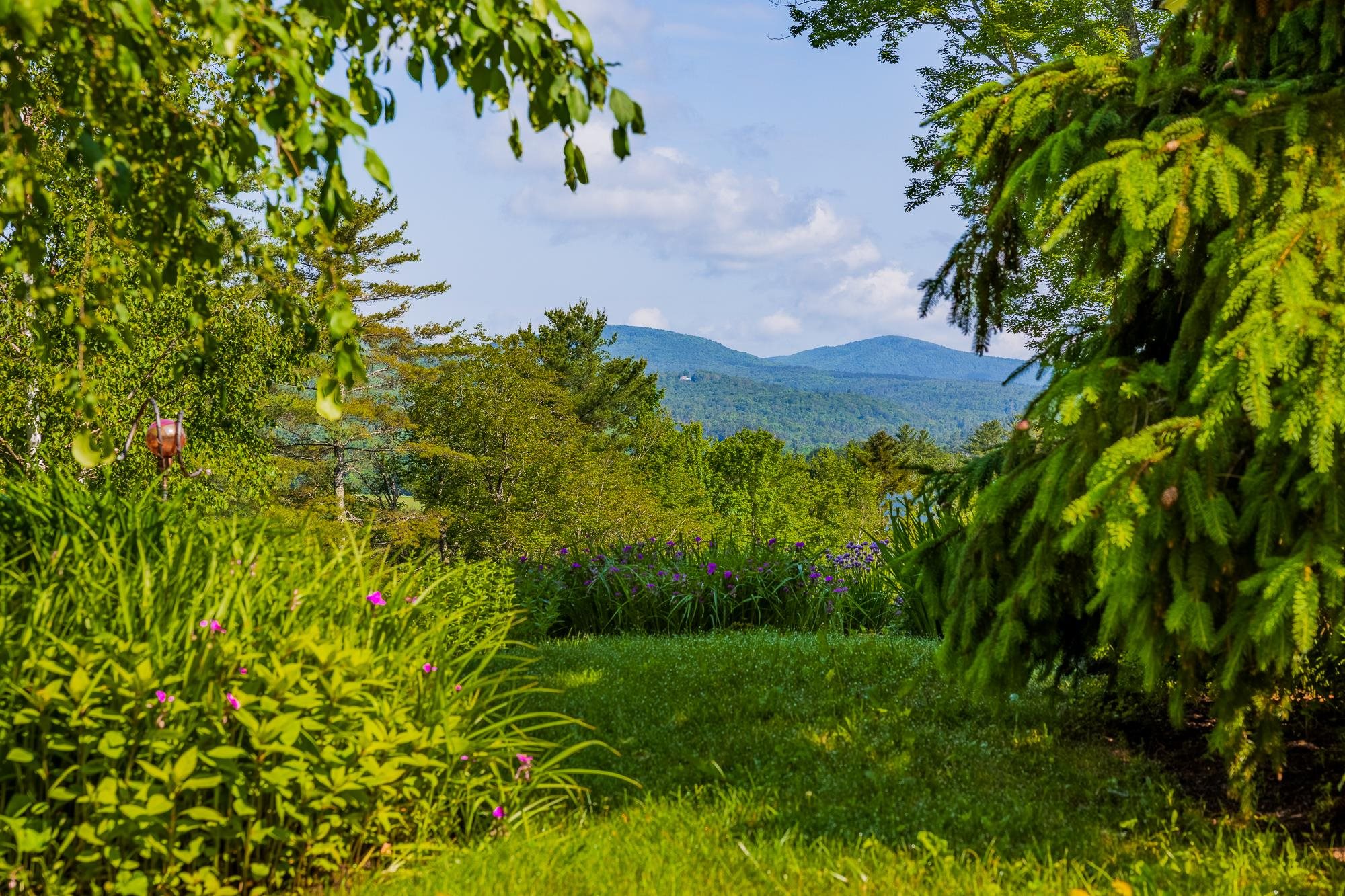 207 Boynton Road Londonderry, VT 05148 - Photo 50 of 53