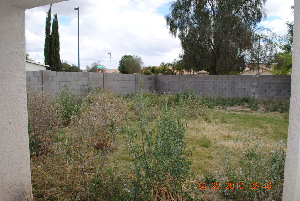 1489 West Page Avenue Gilbert, AZ 85233 - Photo 4 of 7 Backyard