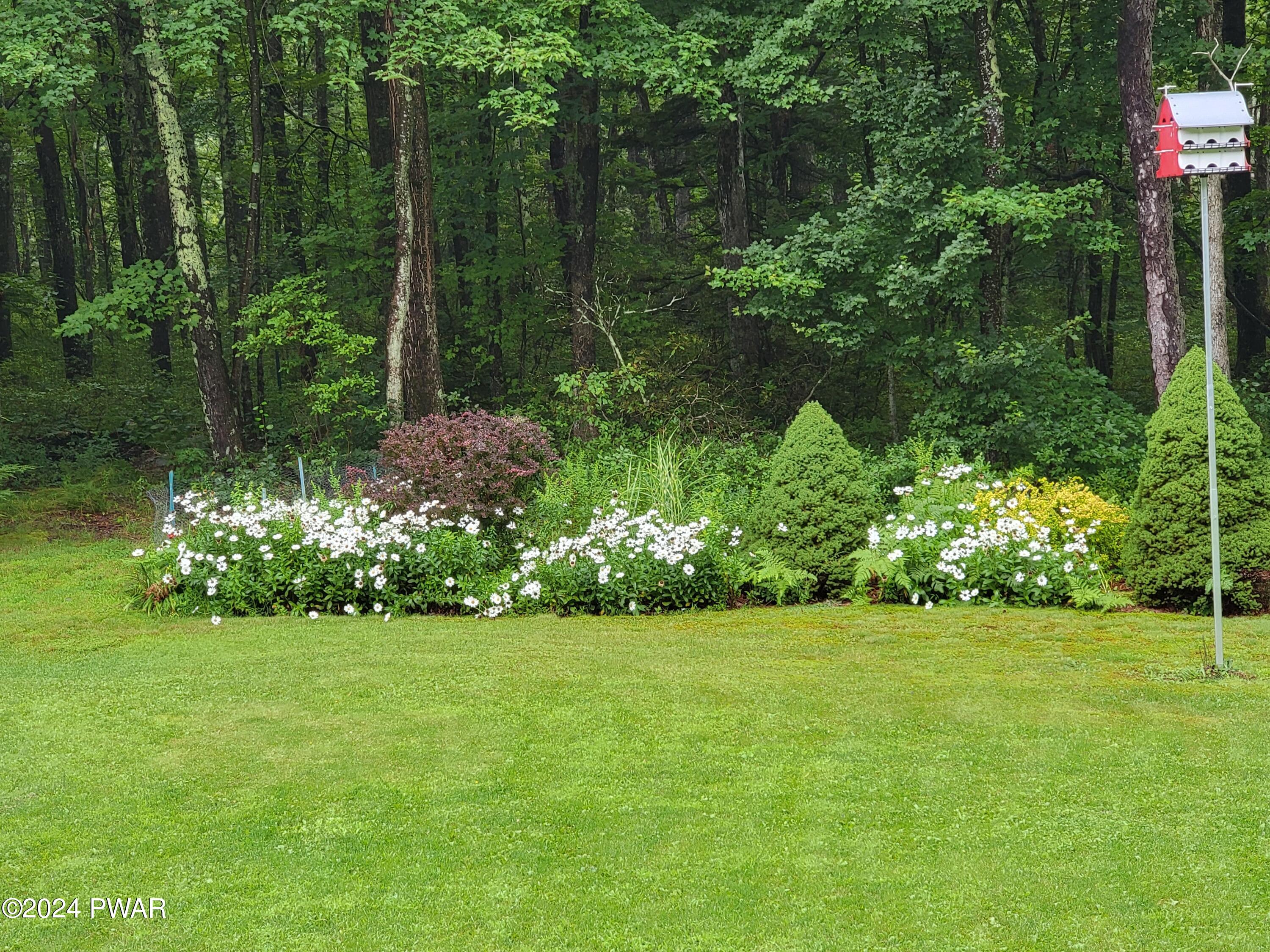 461 Little Walker Road Shohola, PA 18458 - Photo 40 of 67 Back Yard