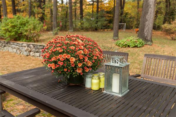 181 Holden Wood Road Concord, MA 01742 - Photo 12 of 14