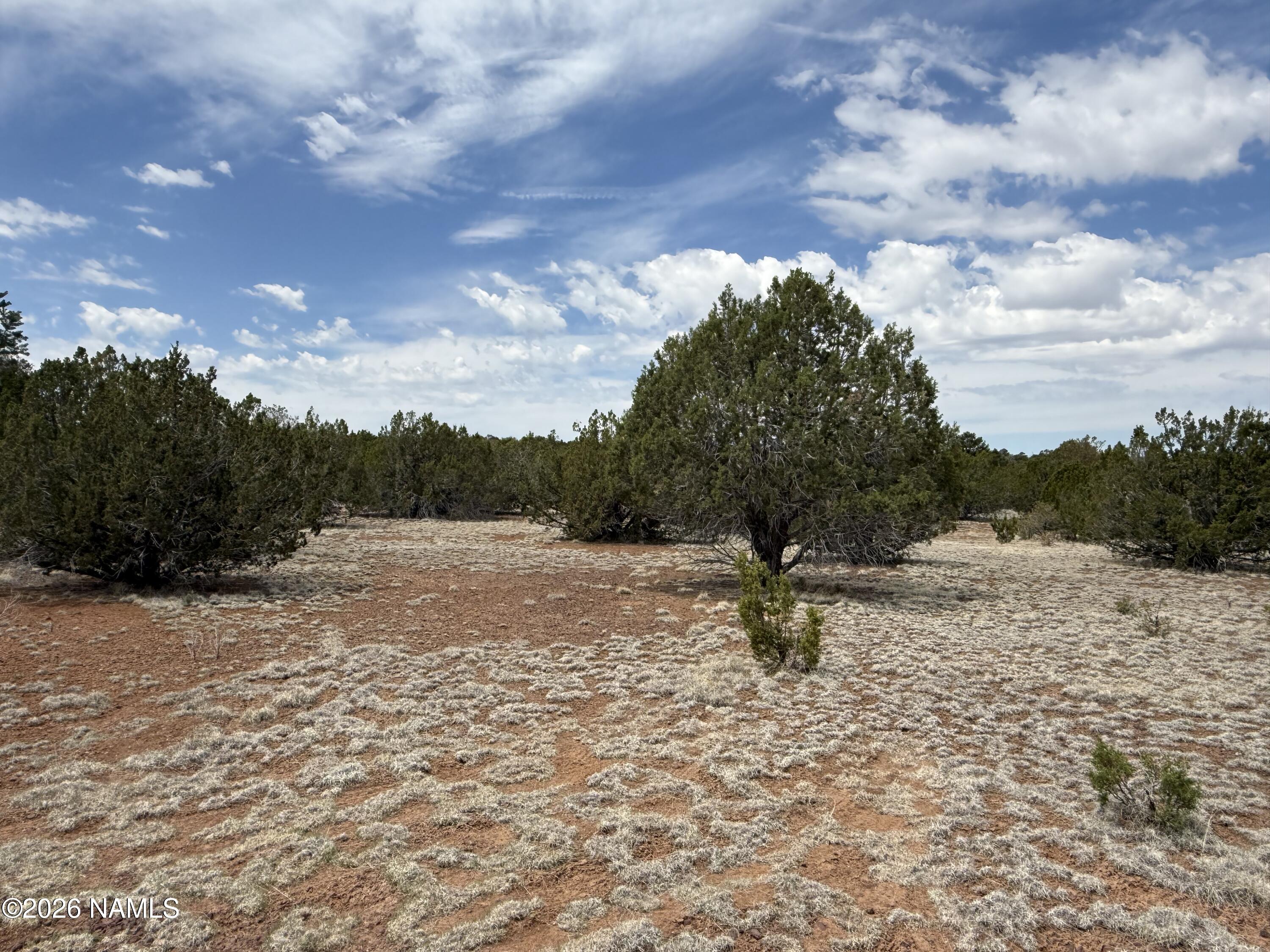 12852 North Sentinel Road Williams, AZ 86046 - Photo 1 of 10 IMG_5379