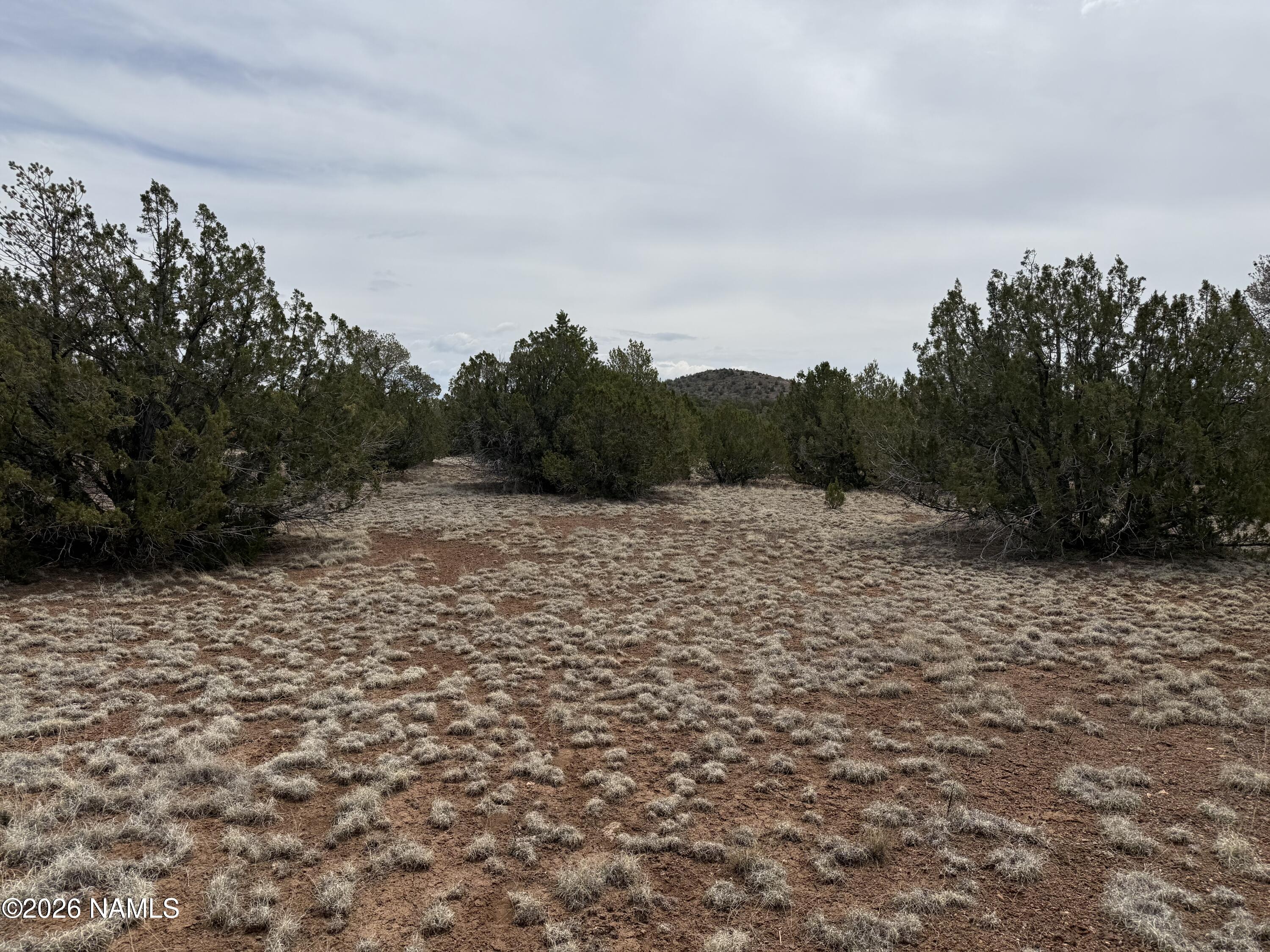 12852 North Sentinel Road Williams, AZ 86046 - Photo 3 of 10 IMG_5382