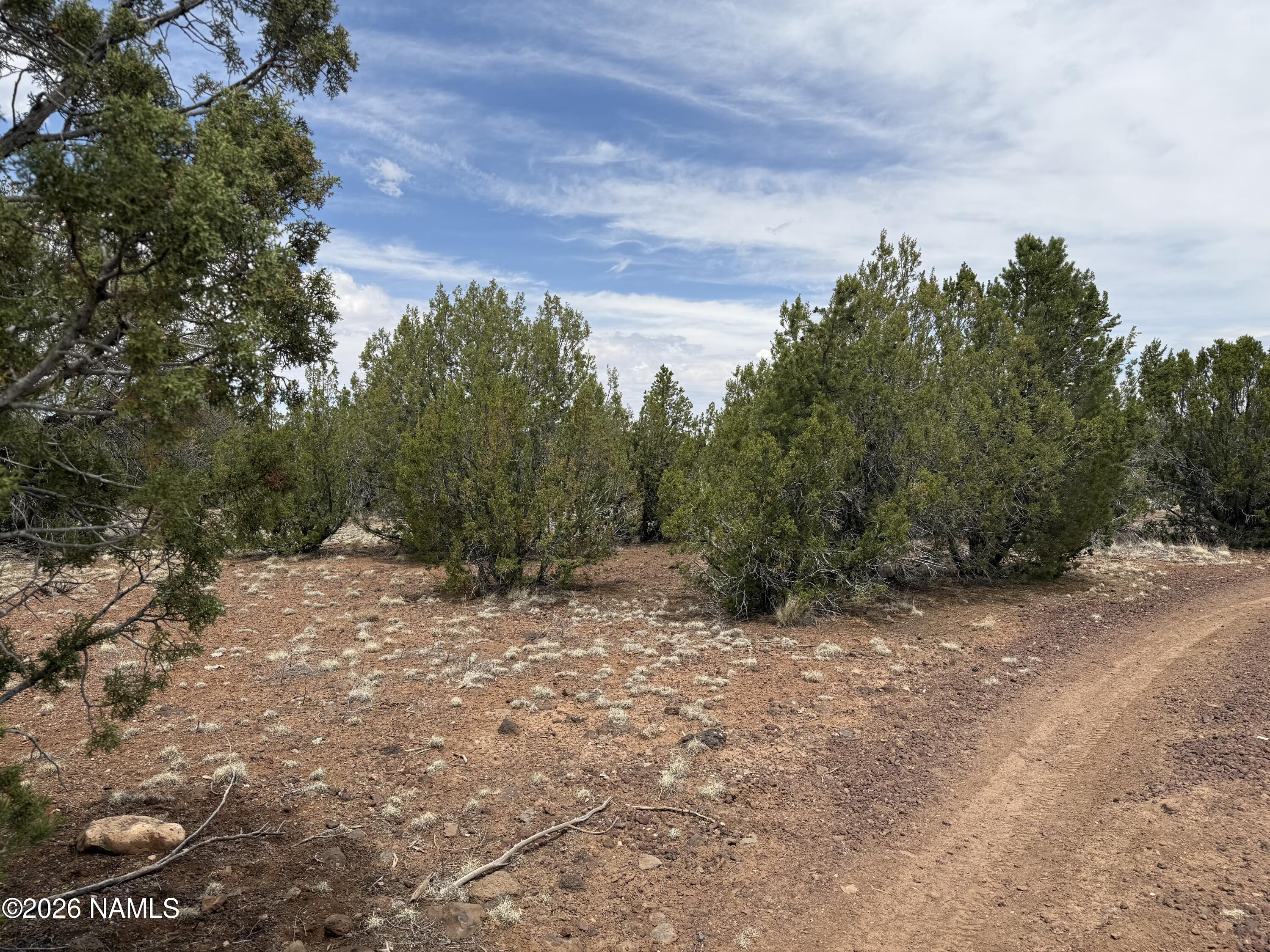 12852 North Sentinel Road Williams, AZ 86046 - Photo 5 of 10 IMG_5380