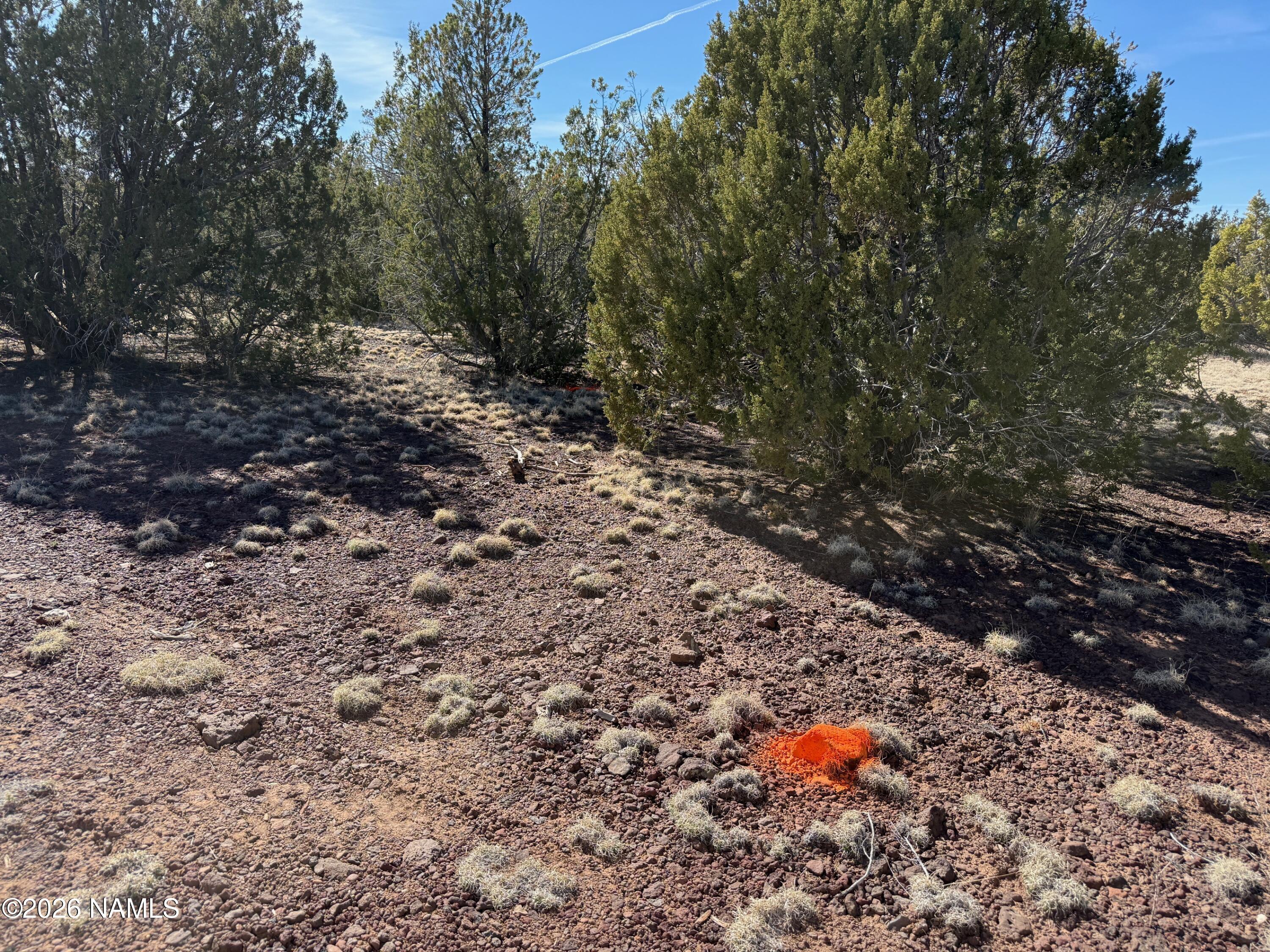 12852 North Sentinel Road Williams, AZ 86046 - Photo 10 of 10 Sentinel11