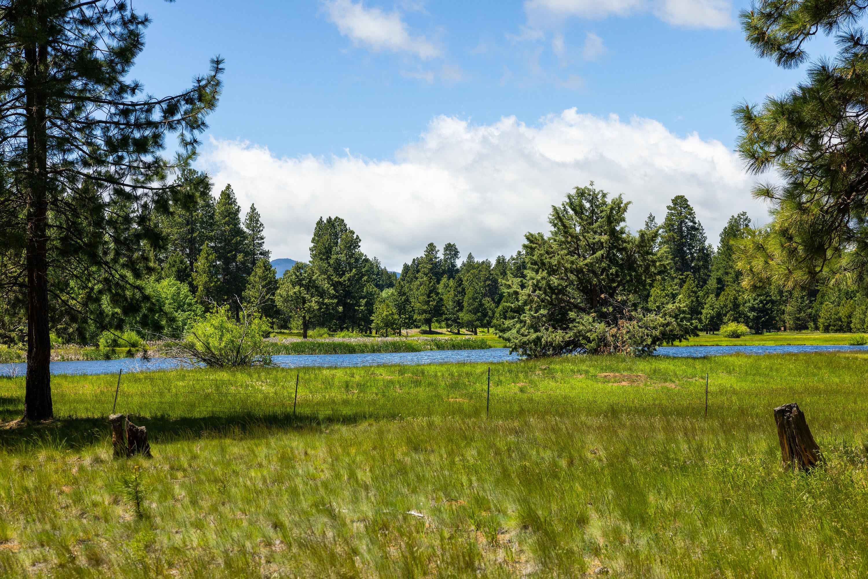 70331 Willow Herb, Unit GM205 Black Butte Ranch, OR 97759 - Photo 22 of 75 Meadow and Lake views