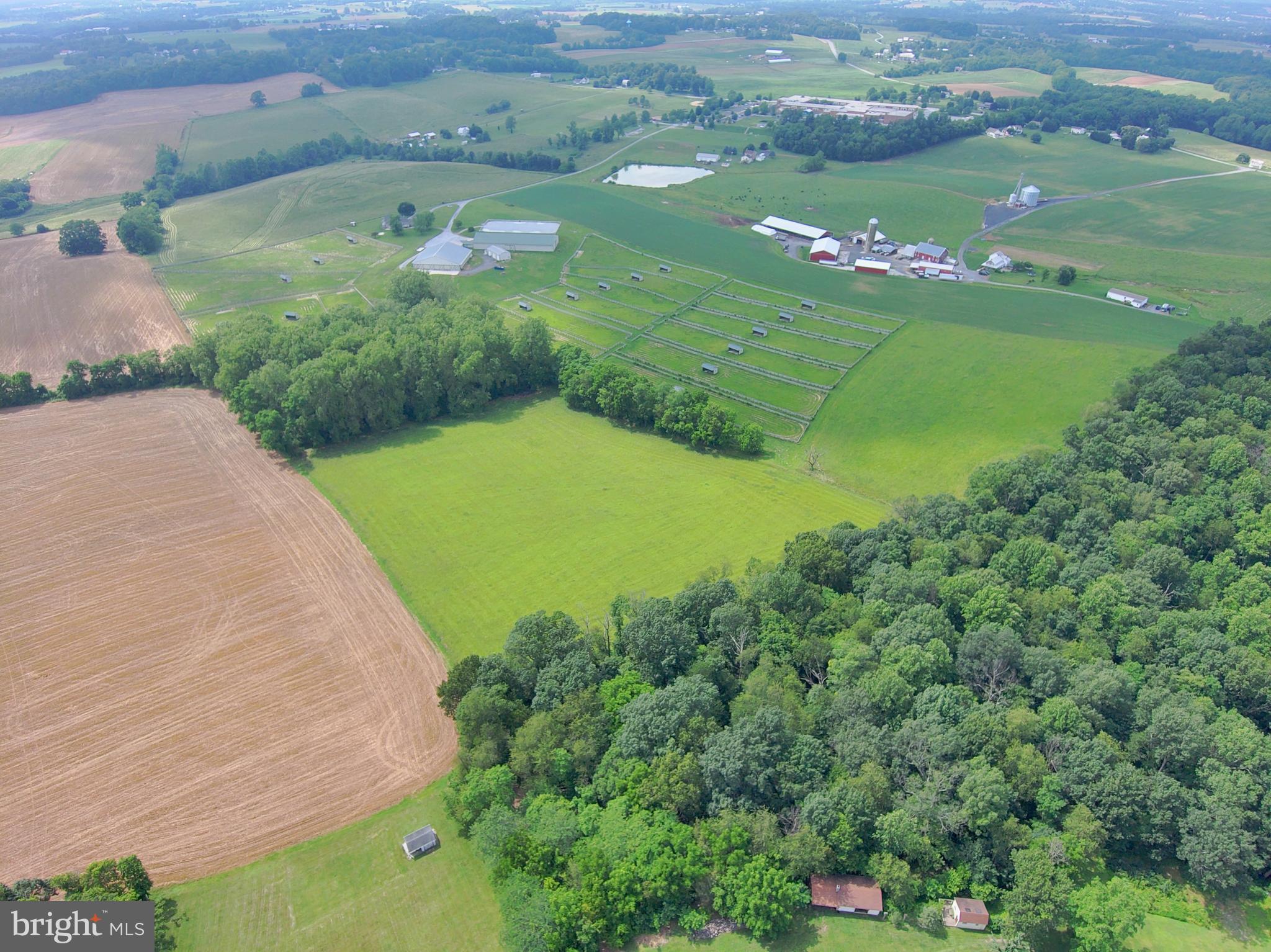 3875 Bark Hill Road Union Bridge, MD 21791 - Photo 43 of 142