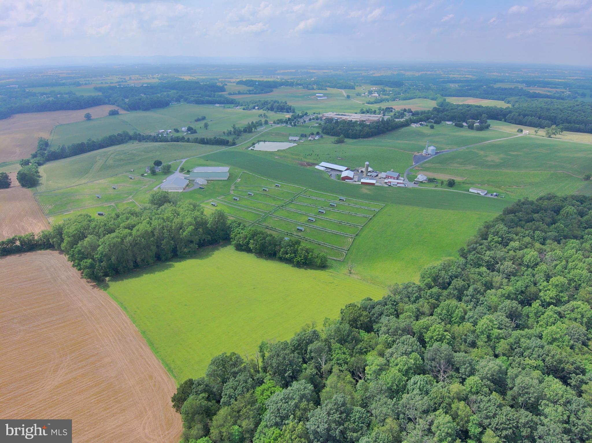3875 Bark Hill Road Union Bridge, MD 21791 - Photo 44 of 142
