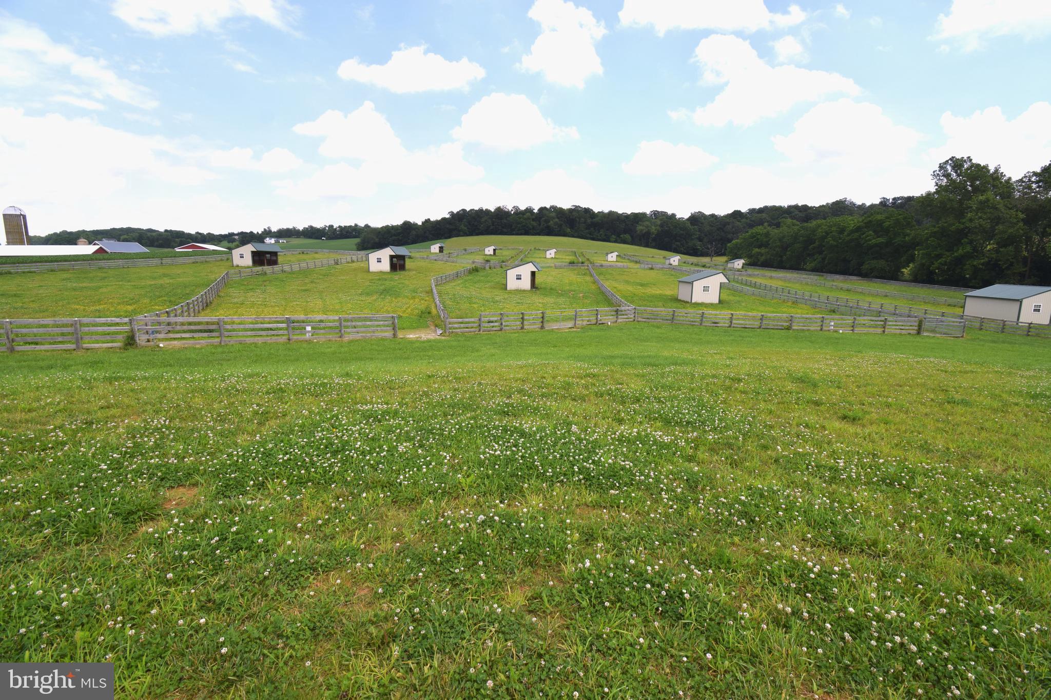 3875 Bark Hill Road Union Bridge, MD 21791 - Photo 68 of 142