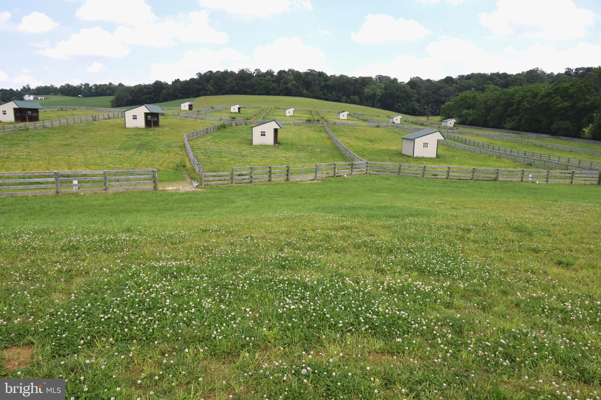 3875 Bark Hill Road Union Bridge, MD 21791 - Photo 69 of 142