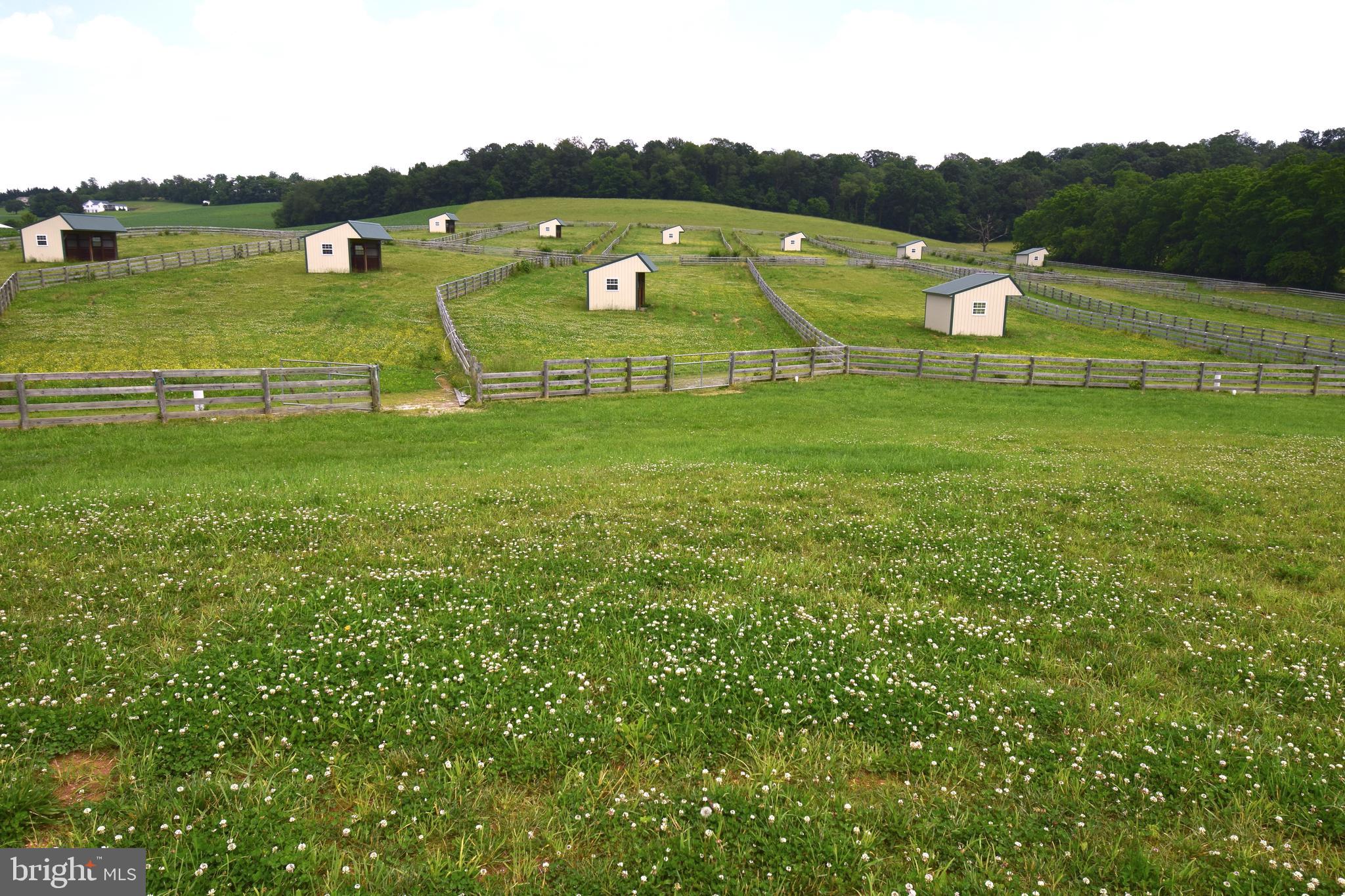 3875 Bark Hill Road Union Bridge, MD 21791 - Photo 70 of 142