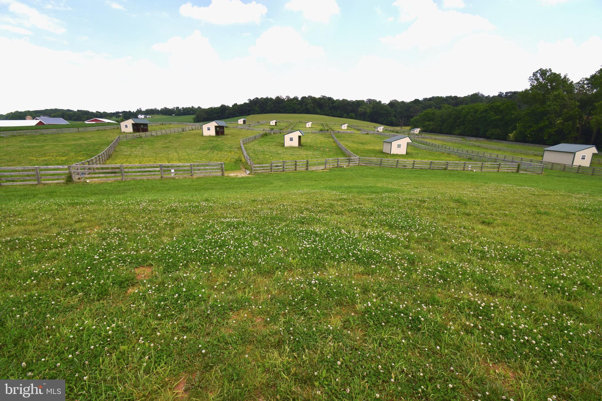 3875 Bark Hill Road Union Bridge, MD 21791 - Photo 71 of 142 a view of an ocean from a balcony