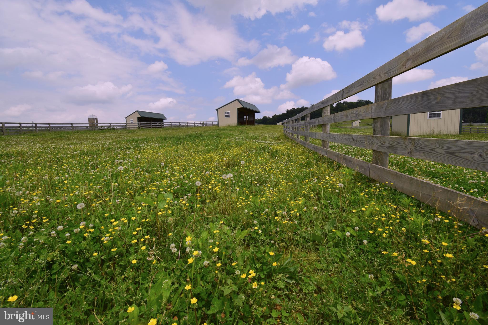 3875 Bark Hill Road Union Bridge, MD 21791 - Photo 73 of 142